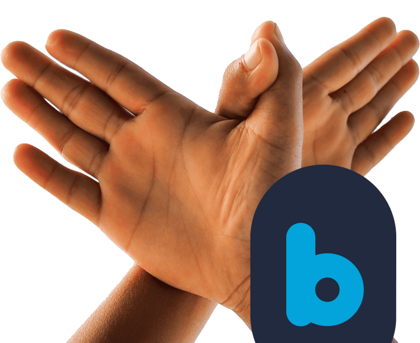 Birdi