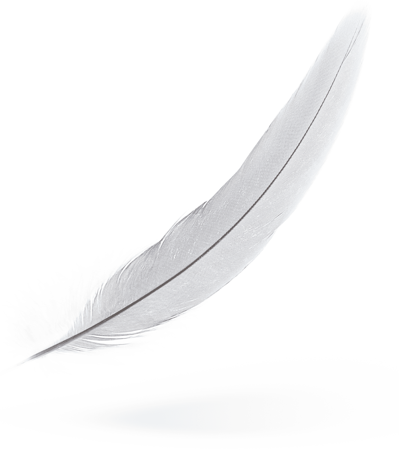 Feather